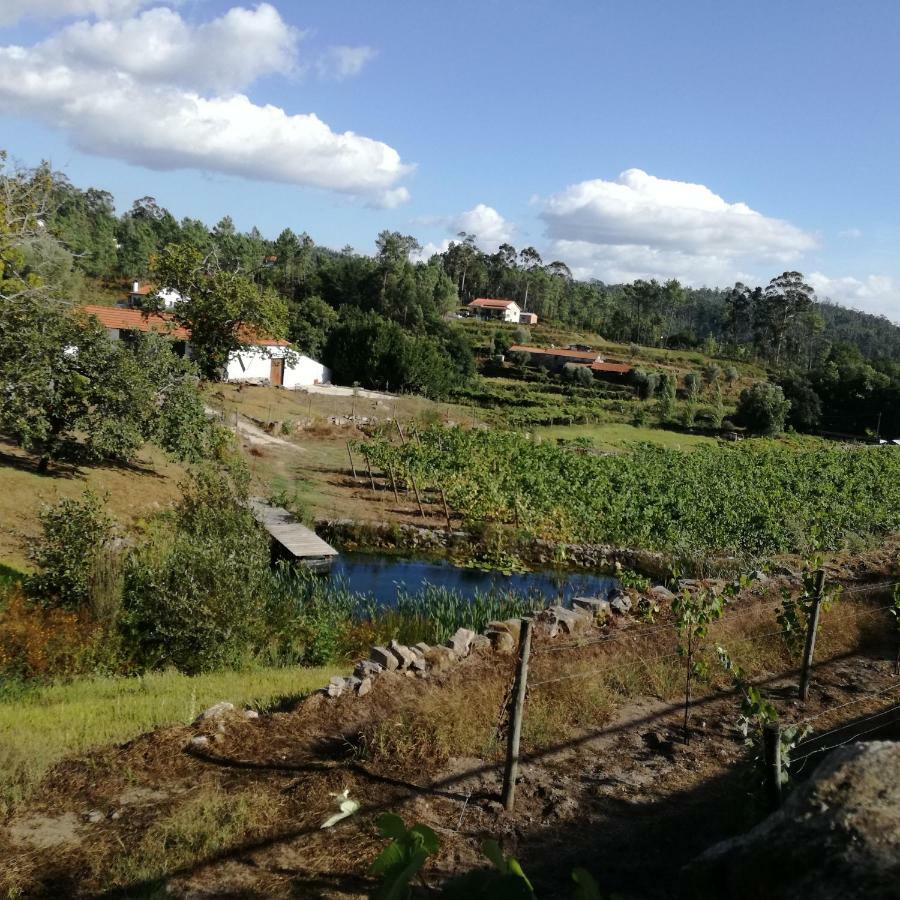 Апартаменты Casa Na Quinta De Valinhas Vitorino dos Piaes Экстерьер фото